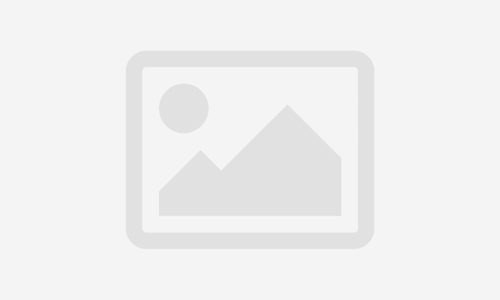 Vivamus egestas tincidunt